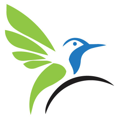 Green Jay Media bird