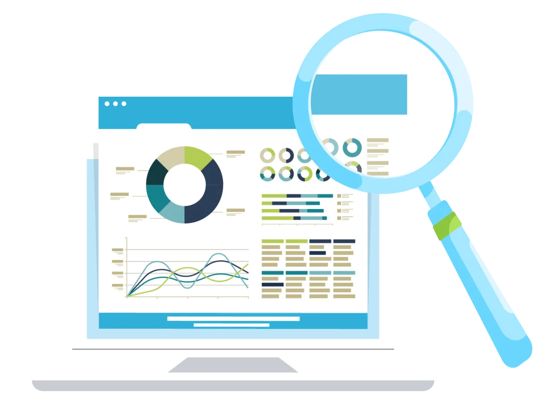 WP Site Auditor