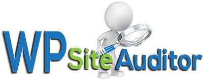 wp site auditor