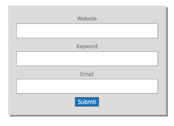 seo audit form